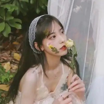 蜘蛛池在泛解析中的实战价值